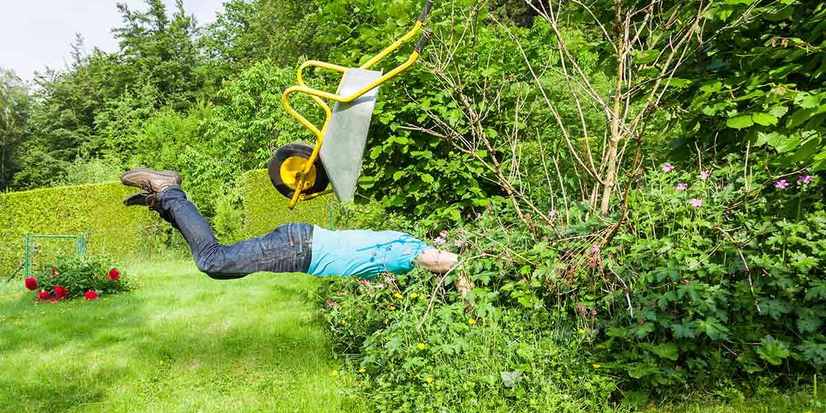 Ein Mann fällt mir einer Schubkarre in eine Hecke - Rechte und Pflichten von Immobilienbesitzern