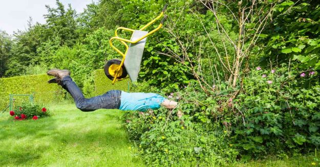 Ein Mann fällt mir einer Schubkarre in eine Hecke - Rechte und Pflichten von Immobilienbesitzern