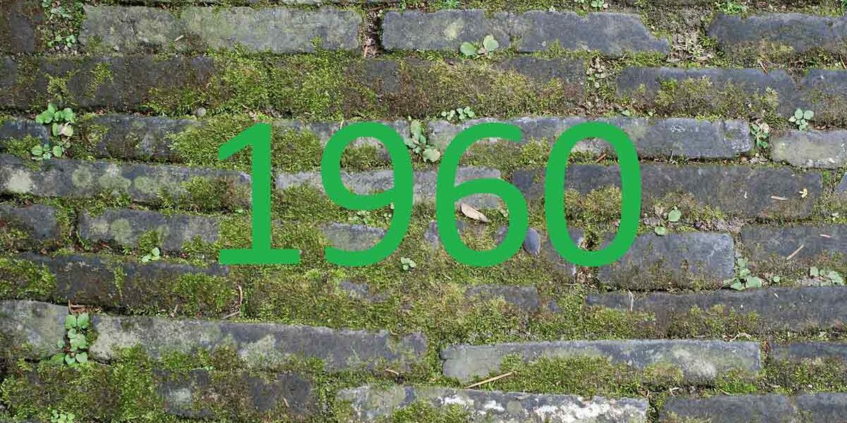 Eine grüne Zahl 1960 vor einer grauen Steinmauer - Zahl des Monats 1960